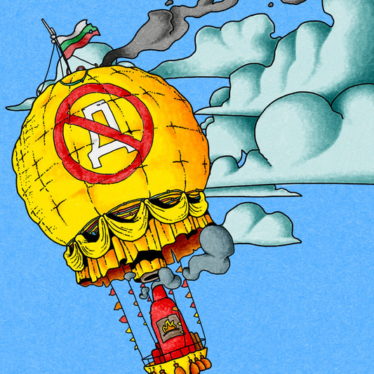 Emergency Cleaning (Bulgarian Air Force)